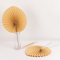 6 NATURAL Dried Tropical Palm Leaf Paper Fans Wall Backdrop Wedding Supplies