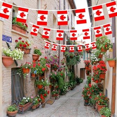 AhfuLife 33 Ft Canada Small Flags Banner for World Cup Decoration 2026, 30 Pc…