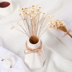 200 Pcs Natural Dry Flowers White Mini Dried Star Daisy Floral