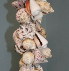 Seashell Wedding Tabletop Centerpiece Cluster of Natural Whole Seashells, G-04