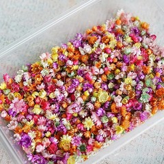 710pcs DIY Dried Flowers Scattered Aromatherapy Candle Epoxy Resin Pendant