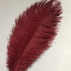 10pcs bouquet feathers 12-14inch 30-35cm for home wedding decoration burgundy