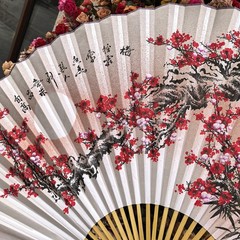 Giant Decorative Folding Wall Fan Bamboo Chinese Style Wedding Backdrop Decor