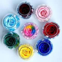 Preserved Real Roses with Colorful Mood Light Wishing Bottle, Eternal Roseᦁ
