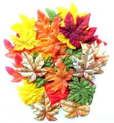 New Maple Fall Leaves Decorations 50 count pack ~ Picked at Random ~ Qty 1