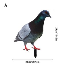 Note Outdoor Space Package Content Outdoor Package Content Garden Pigeon