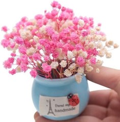 50Pcs Mini Dried Baby’s Breath Flowers, 6” Natural Ivory White Flowers