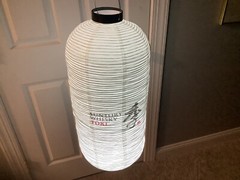 20pcs/Lot White Lantern Wedding Event Party Paper Lamp Decoration LEDs & Battery