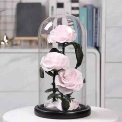 Three Eternal Roses with Glass Dome – Valentine’s Day Gift