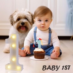 LED Marquee Numbers, Number 1 Light Up Numbers for Party, Small Light Up Lett…