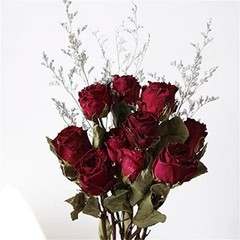 Toot Natural Dried Flowers Bouquet, 10 Pcs Red Dried Roses Bouquet for