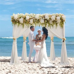 Heavy Duty Wedding Backdrop Stand Kit Canopies Frame Adjustable Party Background
