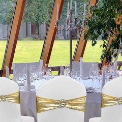 Gold Chair Sashes Stretch Fit Spandex Wedding Banquet Party Decoration 50 Pack