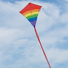 Arch Diamond Kites 27 inch Rainbow Arch