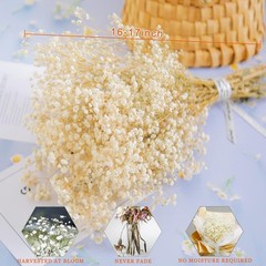 4000+ Dried Babys Breath Flowers Bulk – 17.2″ Ivory White Dried Flowers