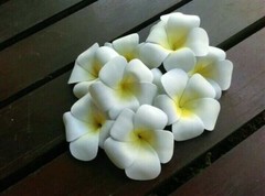 Handmade Araliya flowers wedding wall table flower vase bouquet home decoration
