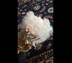 20pcs Natural 1012inch 2530cm Ostrich Feather Feathers Feather for Wedding Centerpieces…