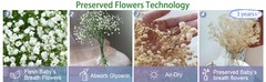 50Pcs Mini Dried Baby’s Breath Flowers, 6” Natural Ivory White Flowers