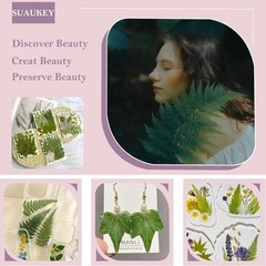 100 Pcs Dried Pred Flowers Leaves for Resin s, Real Natural Bulk