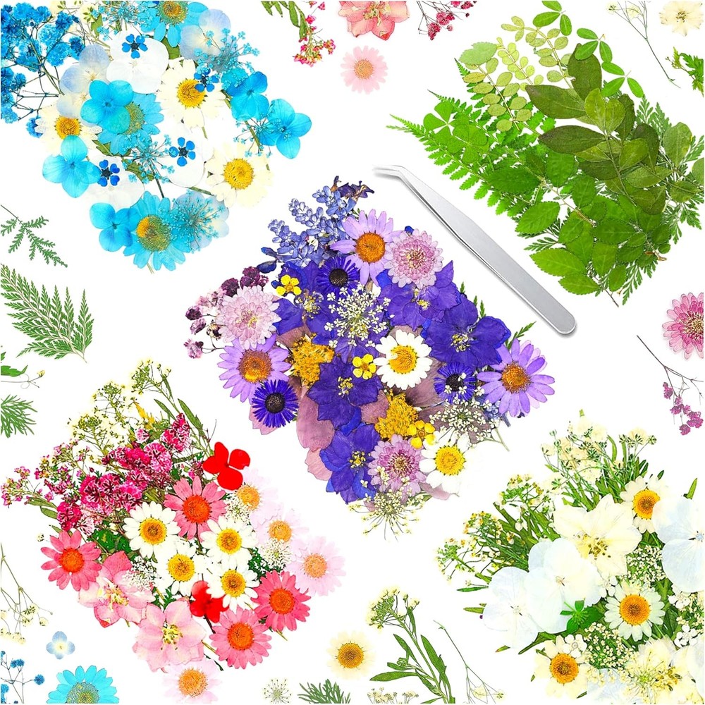 170Pcs+ Real Dried Pred Flowers Leaves Petals for Crafts-Beautiful