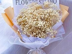 4000+ Dried Babys Breath Flowers Bulk – 17.2″ Ivory White Dried Flowers
