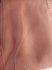25 Peach Organza Chair Sashes Bows Ties Wedding Birthday Party Venue Decoration