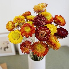 Dried Flowers Bouquet Natural Daisy – 40 PCS Multicolor Daisies Dried