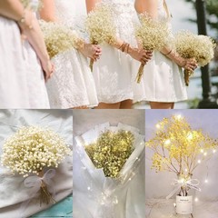 Dried Baby’s Breath Flowers Ivory White, 17inch Dried Natural Flowers