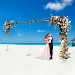 6x3m Wedding Backdrop Stand Pipe Kit carbon steel Curtain Frame Baby Shower
