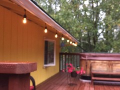 Rolay 11W Outdoor String Light Bulbs, S14 Incandescent Replacement Bulbs for …