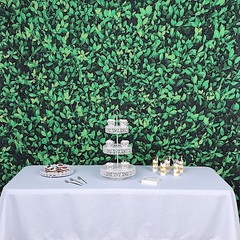 8 ft x 8 ft Printed Vinyl Greenery Banner Photo Backdrop Party Event Decorations