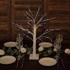 White 2 feet Battery Operated LED Lighted Artificial Birch TREE Party Events