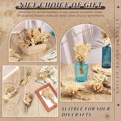 24 Pcs Boho Dried Flower Bouquet Mini Wedding Handmade Dry Flowers