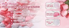 300 PCS Real Pink White Rose Flower Petals Confetti for Wedding Flower