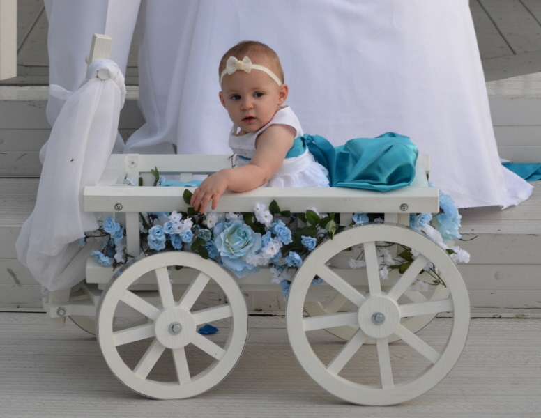 Flower Girl Pumpkin Wagon- Medium size in Gloss white – Child’s Wedding Wagon