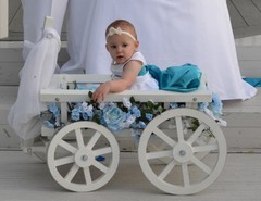 Flower Girl Pumpkin Wagon- Medium size in Gloss white – Child’s Wedding Wagon