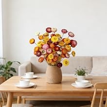 30Pcs Natural Dried Daisy Flowers Stems – Real Natural Dried Flowers