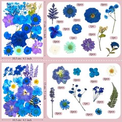 95 Pcs Blue Pred Dried Flowers for Resin, Real Natural Bulk Dry
