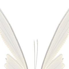 Electric Butterfly Floor Lamp Wedding Decor Standing Lamp LED Warm Light 80 cm