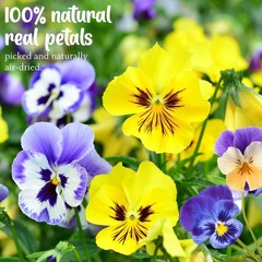 50 Pcs 10 Kinds Natural Dried Pred Edible Flowers for Cake per