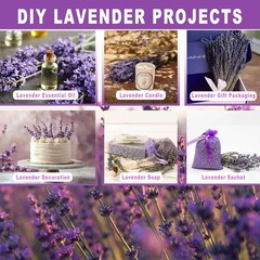 350 Stems 2 Bundles Dried Lavender Flowers, 17″ Natural ple Flowers
