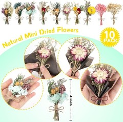 10 Pcs Dried Flowers for Crafts, Mini Dried Flowers Bouquet Bulk for Vase