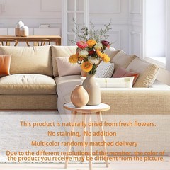 24 Pcs Natural Dried St Flowers Daisy, Oran Dried Flowers
