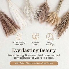 450PCS Natural Dried Ppas Decor – Dried Flower Filler for
