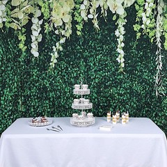 GREEN 8 ft x 8 ft Printed Vinyl Greenery Vines PHOTO BACKDROP Party Decorations