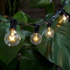 25 ft Warm White 28 Incandescent Bulbs String Lights Garland Wedding Decorations