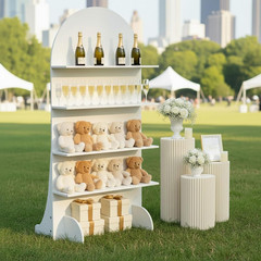 6FT Wooden Wedding Gift Display Arch, Original Design 4-Tier Champagne Wall | Pa