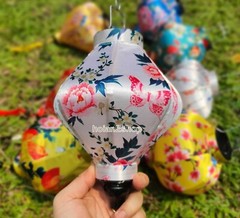 Vietnam Silk Lanterns 22cm for Wedding Party Decoration Restaurant Garden -Set 8