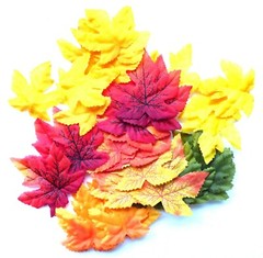 New Maple Fall Leaves Decorations 50 count pack ~ Picked at Random ~ Qty 1