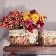 30Pcs Natural Dried Daisy Flowers Stems – Real Natural Dried Flowers